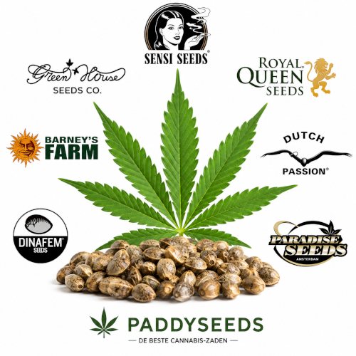 De beste Cannabis-Zaadbanken